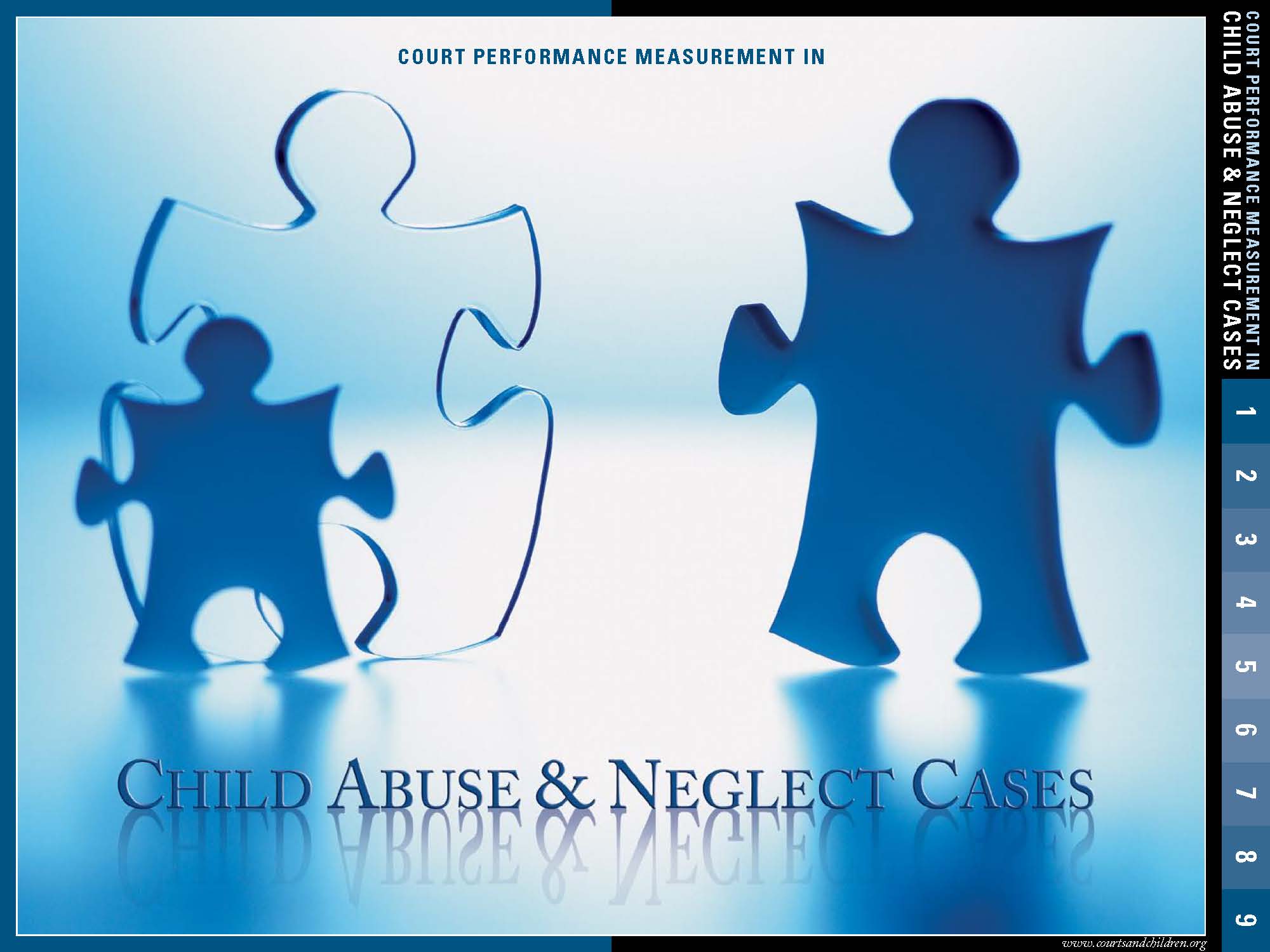 Child Abuse & Neglect Cases